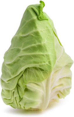 WILLVINE AMR -V Charleston Wakefield Cabbage Seeds [2.5g] Seed(750 per packet)