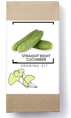 Biosnyg Straight Eight Cucumber Seed(500 per packet)