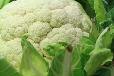 Modinity white cauliflower,gobhee seeds Seed(25 per packet)