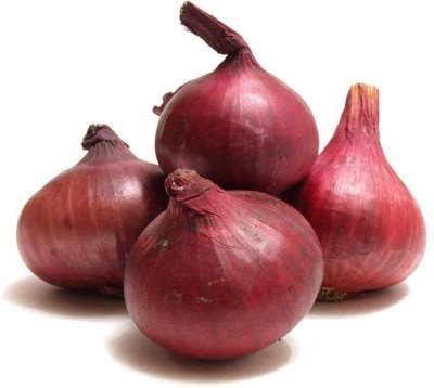 Qualtivate HUA-5A Giant Onion Vegetable Seeds Seed(500 per packet)