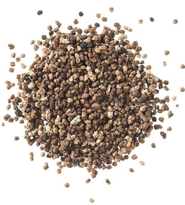 CYBEXIS VXI-70 - Cardamom -Veldode -Yallaki -EalaChai - (60 Seeds) Seed(60 per packet)