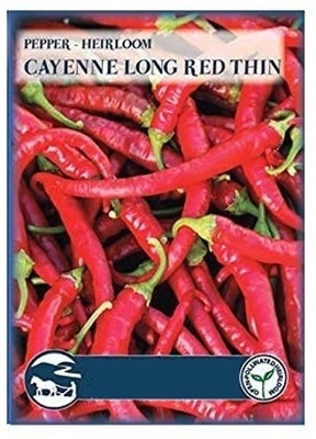 KNESSiN DLX-95 Cayenne Long Red Thin Chilli Seed(500 per packet)