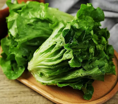 Quentova High quality organic green lettuce-SNIG-11S Seed(200 per packet)