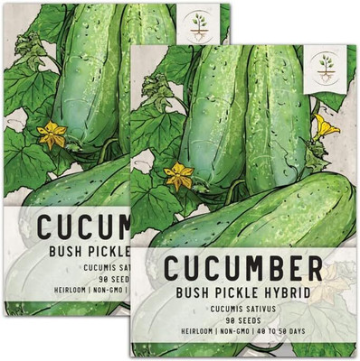 Qualtivate PUAS-4A Bush Pickle Cucumber Seeds Seed(300 per packet)