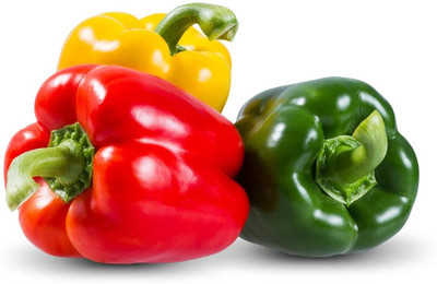 VASUDHA Organic Capsicum/Bell Pepper (Mixed) Seed(800 per packet)