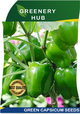 Greenery Hub Crisp Green Capsicum Seeds for Balcony and Terrace Gardens Seed(50 per packet)