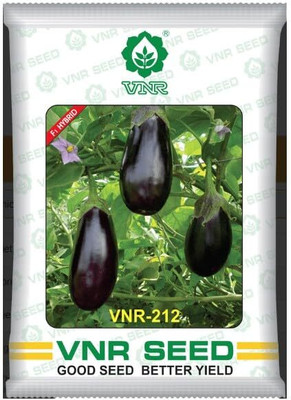 STOKIYA VNR 212 F1 Hybrid Brinjal Seeds - 20 gm Per Packet Seed(20 g)