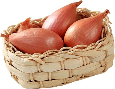 CYBEXIS Fast Germination Shallot Onion Seeds2000 Seeds Seed(2000 per packet)