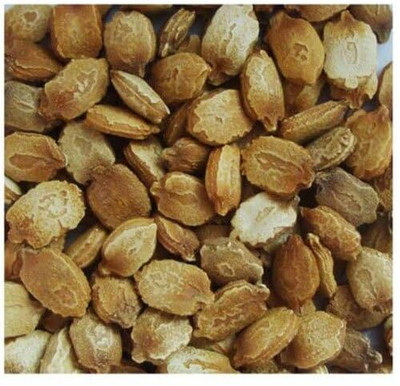 CRGO KARELA , BITTERGOURD Seed(35 per packet)
