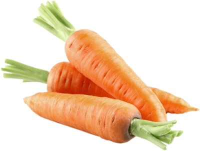 Quentova Gaajar Orange Carrot Vegetable-10T-XIL Seed(200 per packet)