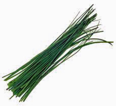 CYBEXIS GBPUT-61 - Hybrid Chives - (250 Seeds) Seed(250 per packet)