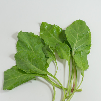 the green dotcom Fresh VNR Green Palak Vegetable Hybrid Seed(70 per packet)