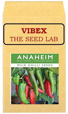 CYBEXIS Chilli Pepper Capsicum Annum Hybrid Seeds2400 Seeds Seed(2400 per packet)