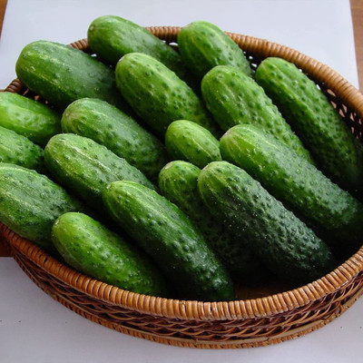 VibeX VXI-70 - Cucumber for Planting - (450 Seeds) Seed(450 per packet)