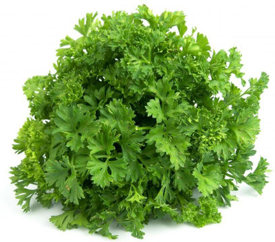 SOWCAN Curled Leaf Parsley Seed(100 per packet)