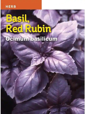 VibeX GBPUT-61 - Basil Red Rubin - (4500 Seeds) Seed(4500 per packet)