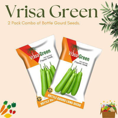 Vrisa Green Long Bottle Gourd – Grow Crisp, Refreshing Bottle Gourds Right in Your Garden! Seed(50 per packet)