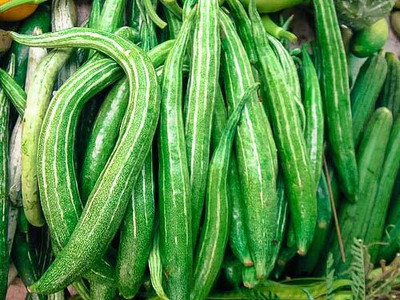 Qualtivate HYB-2A High Yield Hybrid Rare Long Snake Gourd Seed(25 per packet)