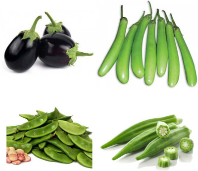 Cloud Farm Brinjal & Loki & Sem Phali & Bhindi Seed(50 per packet)