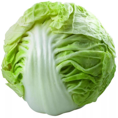 MYLAWN Green Cabbage (बंधा गोभी के बीज) Seed(500 per packet)