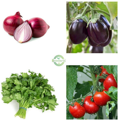 SEEDARIA MIX VEG 15 PIECES EACH TOMATO ONION CORIANDER BRINJAL MIX SEEDS PURE VEGETABLES Seed(60 per packet)