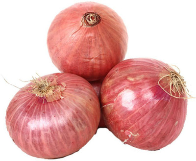 Quentova Onion Pyaj-NAMO-11T Seed(300 per packet)