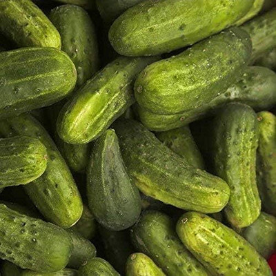 Qualtivate PUAS-2A National Pickling Cucumber Seeds Seed(300 per packet)