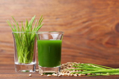 KNESSiN High Yield Sprouts Wheat Grass Seeds For Indoor Sprouting-(2000 Seeds) Seed(2000 per packet)
