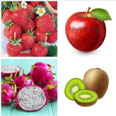 Oliver apple,litchi,kiwi,dragon fruit seeds Seed(113 per packet)