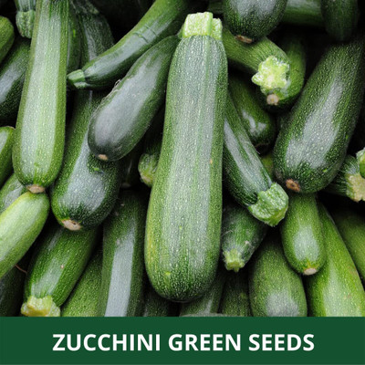Qualtivate HUA-9A ZUCCHINI -GREEN -SUMMER SQUASH Seed(30 per packet)