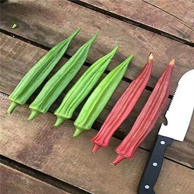 WILLVINE Okra Red Burdy Shakti Abelmoschus Esculentus-[1000 Seeds] Seed(1000 per packet)