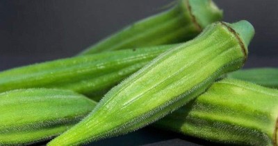 Qualtivate ICRA6-A Dwarf-Stalk Long Green Okra Seed(350 per packet)