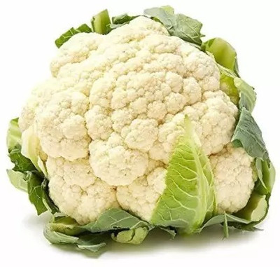 Aro Cauliflower, Gobi Seed(290 per packet)