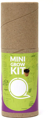 CRGO SEEDS KIT Seed(33 per packet)