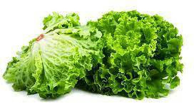 XOLDA Organic lettuce curly Seed(15 per packet)