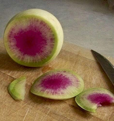 Qualtivate PUAS-9A Watermelon Radish Seeds Seed(300 per packet)