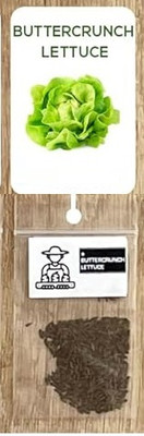 Quentova Buttercrunch Lettuce 0.5gm-XII-3Z Seed(400 per packet)