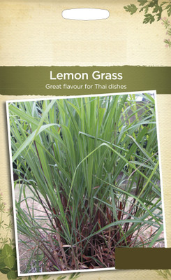 CYBEXIS GUA-32 - Lemon Grass Cymbopogon Flexuosus - (2250 Seeds) Seed(2250 per packet)