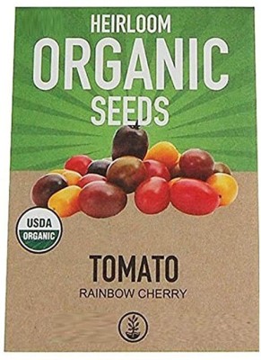 CYBEXIS Organic Cherry Tomato:Rainbow Cherry Tomatoes500 Seeds Seed(500 per packet)