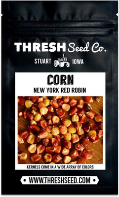 VibeX ® RXI-671 Red Robin Corn Seed(500 per packet)