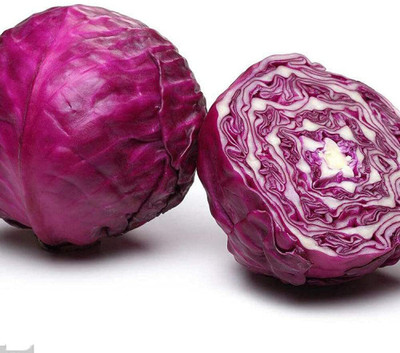 CYBEXIS Early Red Purple Cabbage Seeds Purple Cabbage Cabbage Seeds 2000 Seeds Seed(2000 per packet)