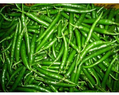 Mozette Organic green chilli Seed(26 per packet)