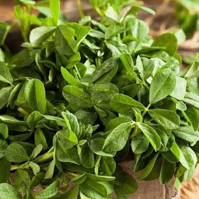 Aywal Organic methi dana - fenugreek seeds - trigonella foenum-graecum Seed(600 per packet)