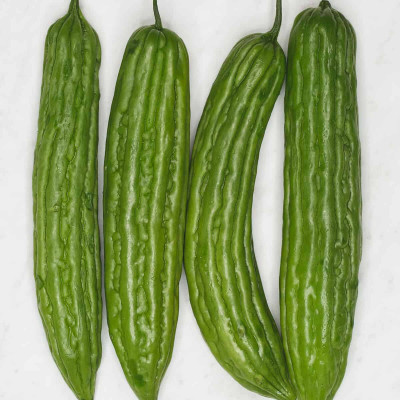 Paudhaa F1 BEST QUALITY BITTER GOURD SEEDS Seed(30 per packet)