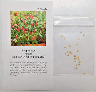 Qualtivate PUA5-A Pequin Red Chilli Seed(300 per packet)