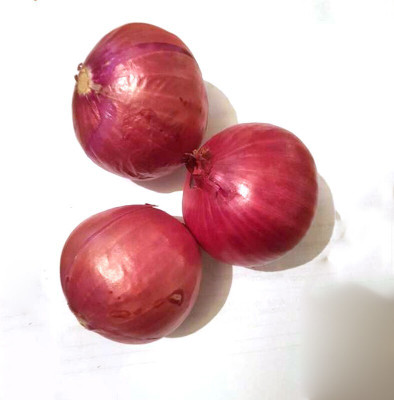 Pbevergreen Nasik Onion Seed(60 per packet)