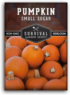 Qualtivate XXX-2A Small Sugar Pumpkin Seeds Seed(50 per packet)