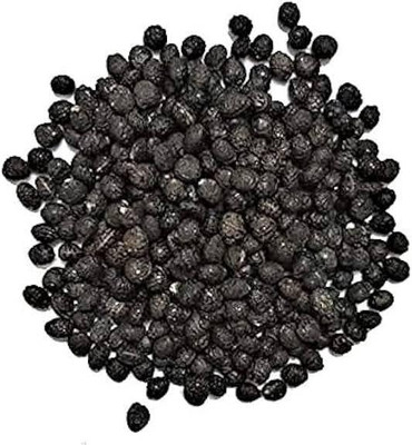 HAMPHU MSTP PLANT & SEEDD HYBRID KANTOLA SEEDS PACK OF 15 Seed(15 per packet)