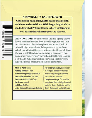 Qualtivate XLR-253 Hybrid Cauliflower Seeds Seed(200 per packet)