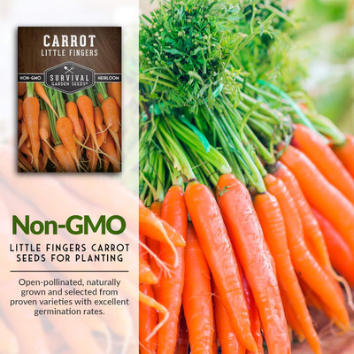 Qualtivate RES-3A Little Fingers Carrot Seeds Seed(300 per packet)